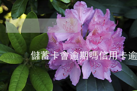 儲蓄卡會逾期嗎（信用卡逾期存折會被限制嗎）