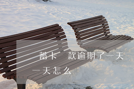 儲蓄卡還款逾期了一天(銀行卡貸款還款逾期一天怎么辦)
