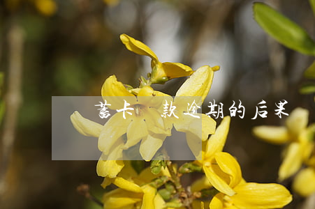 儲蓄卡還款逾期的后果(儲蓄卡會欠款嗎)