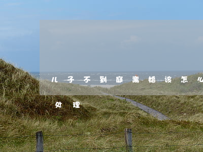 儿子不到庭离婚该怎么办(离婚不上庭会怎么处理)