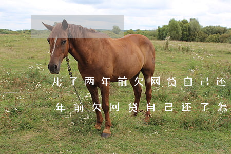 儿子两年前欠网贷自己还了怎么办-儿子两年前欠网贷自己还了怎么办呢