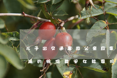 儿子出交通事故父亲应拿钱赔偿吗?(父亲出车祸的赔偿款闺女能要吗)