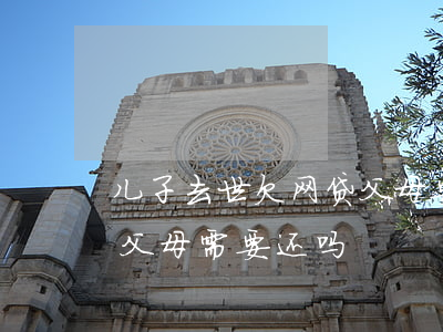 儿子去世欠网贷父母要还吗(网贷欠款人死亡父母需要还吗)