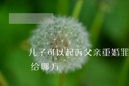 儿子可以起诉父亲重婚罪吗(重婚罪孩子会判给哪方)