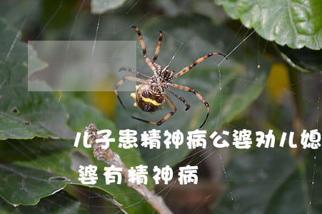儿子患精神病公婆劝儿媳离婚(婚后才发现婆婆有精神病)