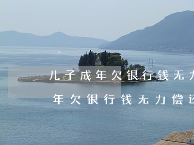 儿子成年欠银行钱无力偿还怎么办-儿子成年欠银行钱无力偿还怎么办呢