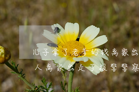儿子拿了老爹的钱离家出走了报警有用吗(家人离家出走了报警,警察会怎么处理)