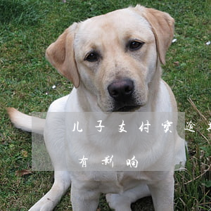 儿子支付宝逾期搔扰父母 支付宝逾期对儿女有影响