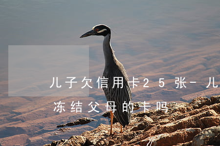儿子欠信用卡25张-儿子欠信用卡的钱会冻结父母的卡吗