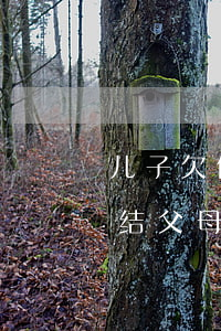 儿子欠信用卡父母苦(儿子欠信用卡的钱会冻结父母的卡吗)