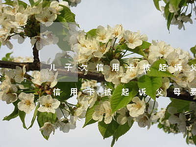 儿子欠信用卡被起诉父母要还债吗-儿子欠信用卡被起诉父母要还债吗怎么办