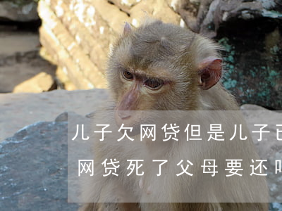 儿子欠网贷但是儿子已死怎么办-儿子欠的网贷死了父母要还吗