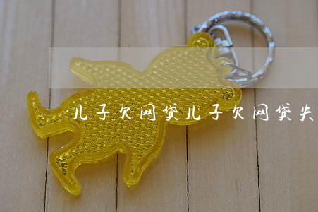 儿子欠网贷(儿子欠网贷失联怎么办)