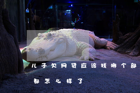 儿子欠网贷应该找哪个部门(那些欠网贷的人都怎么样了)