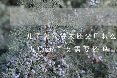 儿子欠网贷未还父母怎么办(父母欠的网贷无力偿还 子女需要还吗)