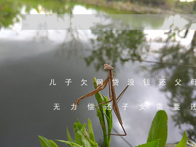 儿子欠网贷没钱还父母怎么办(父母欠的网贷无力偿还 子女需要还吗)