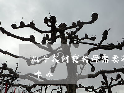 儿子欠网贷父母需要还吗(孩子欠债网贷,父母咋办)