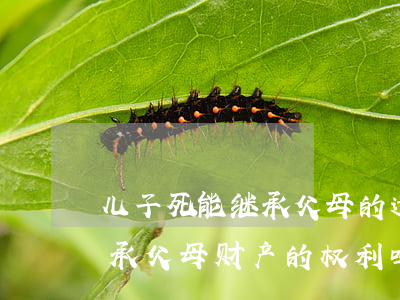 儿子死能继承父母的遗产吗(去世的子女有继承父母财产的权利吗)
