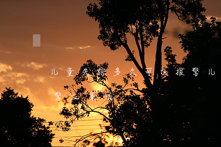 儿童失踪多久可以报警(儿童失踪多久可以报警立案呢)