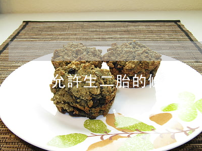 允許生二胎的條件有哪些