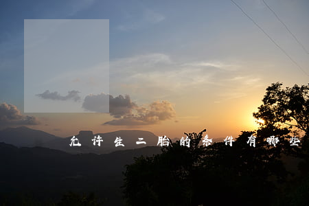 允许生二胎的条件有哪些