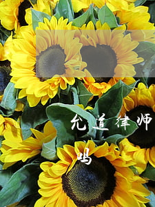 允道律师事务所靠谱吗(允道律师事务所靠谱吗)