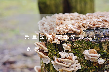 元旦法定假日幾天(2020年元旦法定假日幾天)