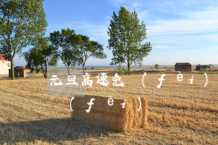 元旦高速免費(fèi)嗎(明天元旦高速免費(fèi)嗎)