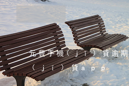 元豐手機(jī)貸逾期會怎么樣(元豐手機(jī)貸app)
