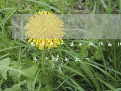 兄妹房产继承份额转让该怎么办(兄弟姐妹有房产继承权吗)