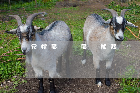 兄嫂借錢沒借條能起訴嗎 哥哥嫂子借錢不還
