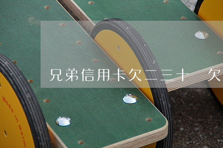 兄弟信用卡欠二三十萬(欠多家信用卡20多萬)