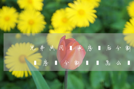 兄弟共同繼承房產后分割協議怎么寫(兄弟之間房產分割協議怎么寫)