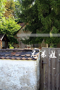 兄弟姐妹已過世欠網(wǎng)貸姐姐要還嗎-兄弟姐妹網(wǎng)貸,家人有義務(wù)幫他還么
