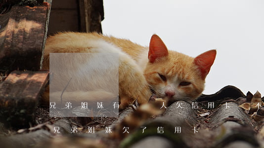 兄弟姐妹有一個人欠信用卡還不上-自己的兄弟姐妹欠了信用卡