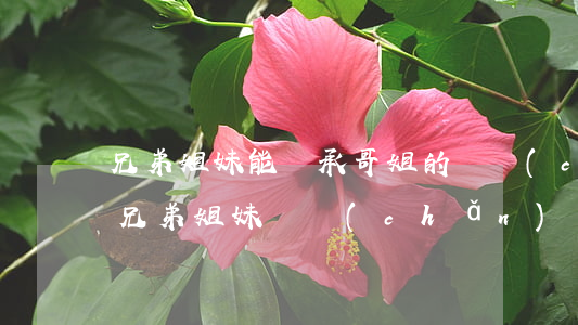 兄弟姐妹能繼承哥姐的遺產(chǎn)嗎(兄弟姐妹遺產(chǎn)繼承權)