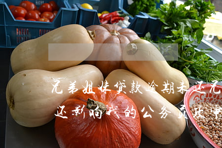 兄弟姐妹贷款逾期未还(兄弟姐妹贷款逾期未还,影响我的公务员政审吗)