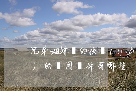 兄弟姐妹間的扶養(yǎng)義務(wù)的適用條件有哪些