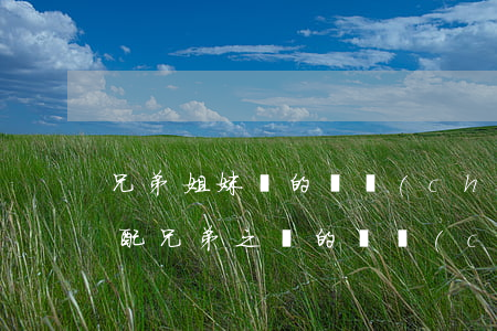 兄弟姐妹間的財產(chǎn)繼承怎么分配(兄弟之間的財產(chǎn)兄弟的子女可以繼承)