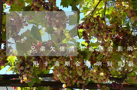 兄弟欠信用卡逾期会影响到我吗-兄弟欠信用卡逾期会影响到我吗知乎