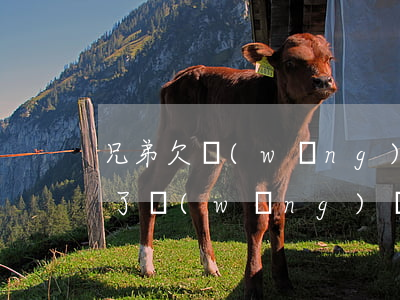 兄弟欠網(wǎng)貸10幾萬怎么辦(欠了網(wǎng)貸十幾萬)