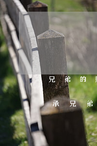 兄弟的財產(chǎn)怎么繼承(兄弟能繼承兄弟的遺產(chǎn))