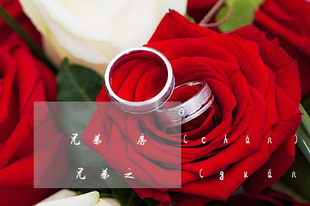 兄弟間房產(chǎn)為什么不能寫繼承(兄弟之間關(guān)于房產(chǎn)繼承的協(xié)議)