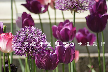 充值卡逾期(充值卡逾期作废)