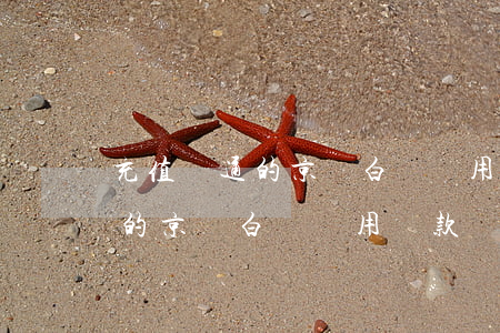 充值開通的京東白條還用還款嗎-充值開通的京東白條還用還款嗎安全嗎