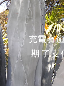 充電寶逾期了支付不了怎么付款-充電寶逾期了支付不了怎么付款呢