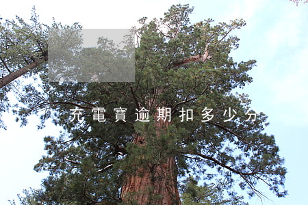 充電寶逾期扣多少分