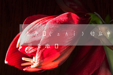 先予執(zhí)行后申請(qǐng)人可否撤訴