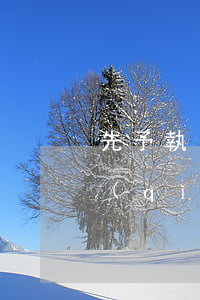 先予執(zhí)行向誰(shuí)申請(qǐng)
