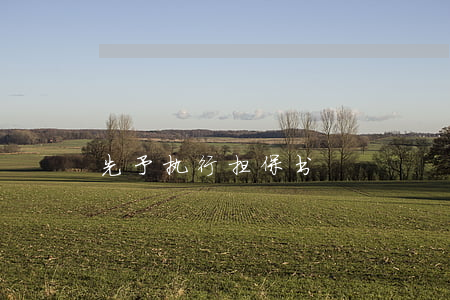 先予执行担保书